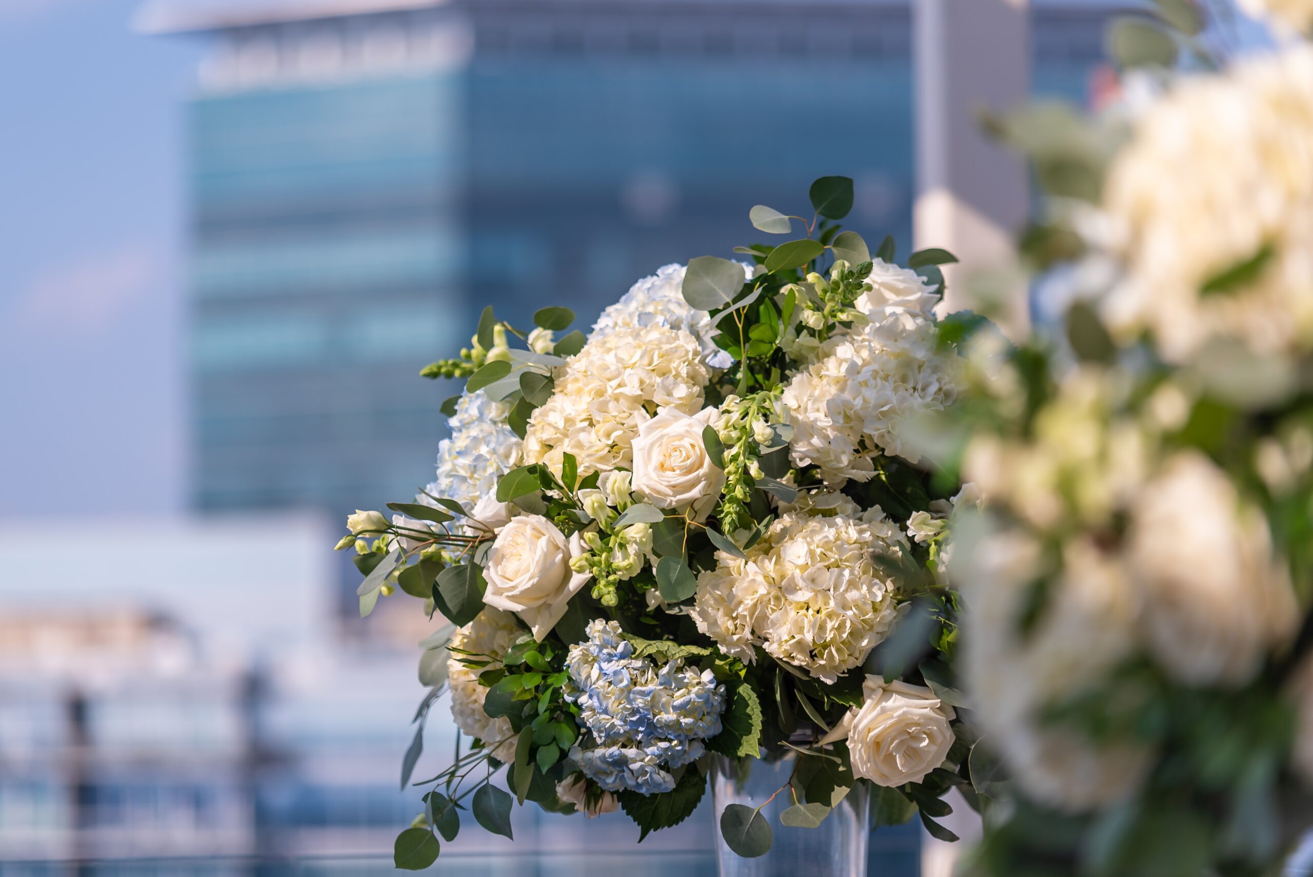 A selective focus shot of a beautiful bouquet of white  flowers and green leaves